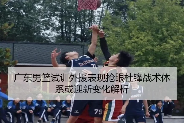 广东男篮试训外援表现抢眼杜锋战术体系或迎新变化解析